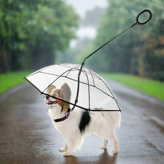 Dog Umbrella